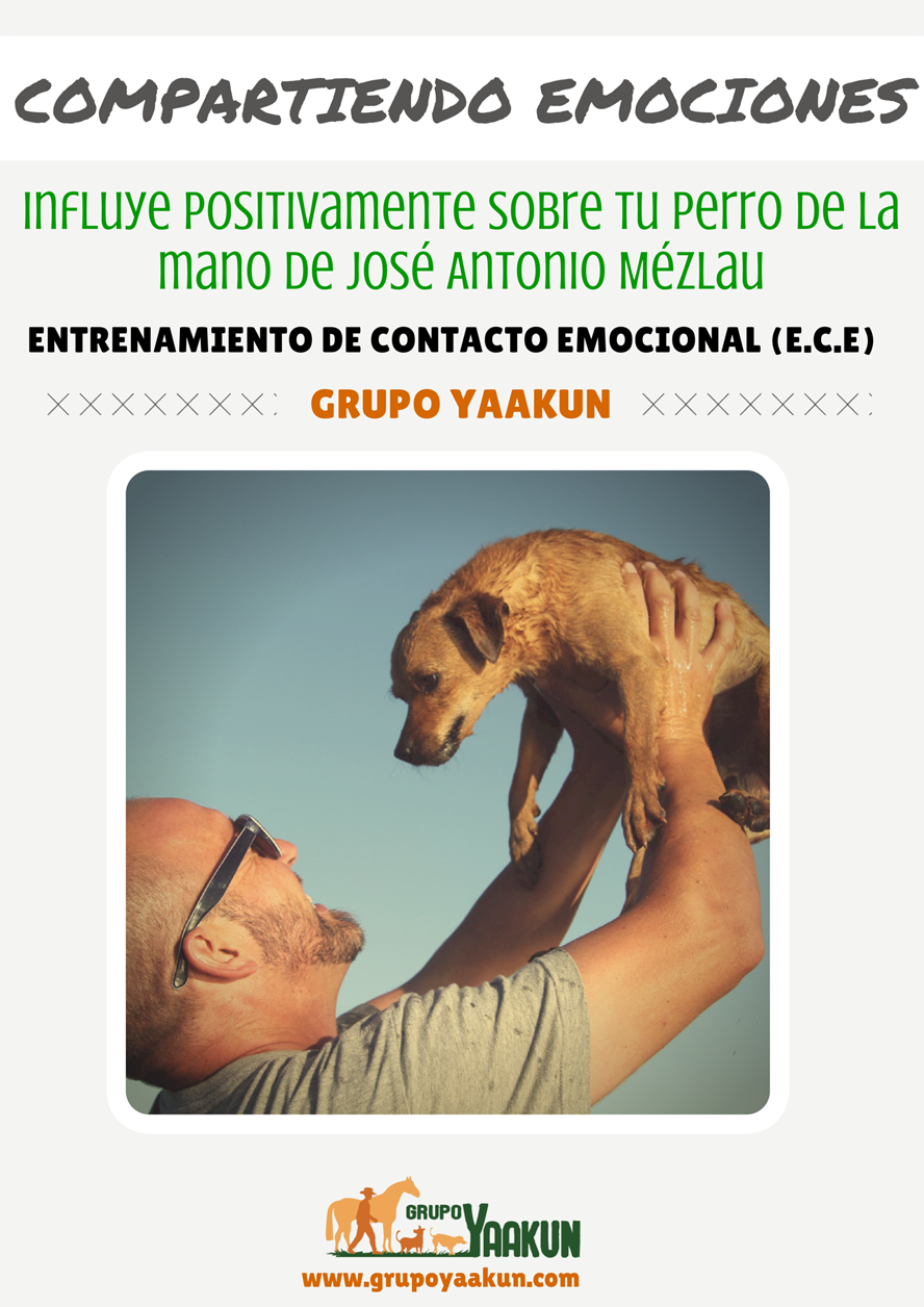 COMPARTIENDO-EMOCIONES1