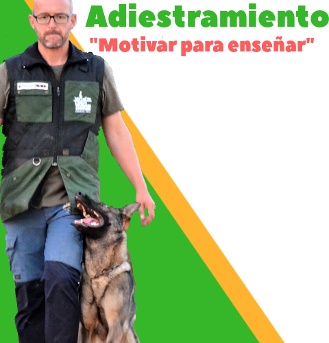 Adiestramiento