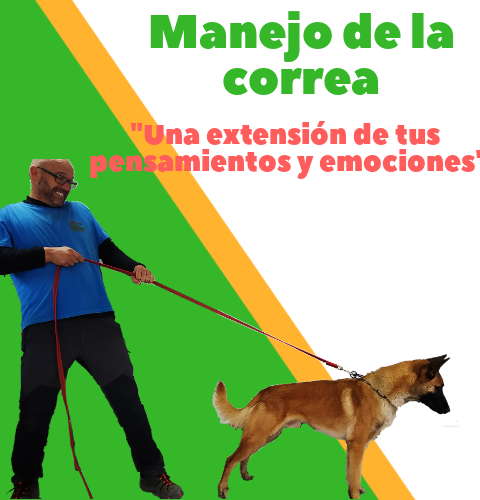 Manejo De La Correa